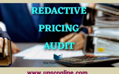 REDACTIVE PRICING AUDIT