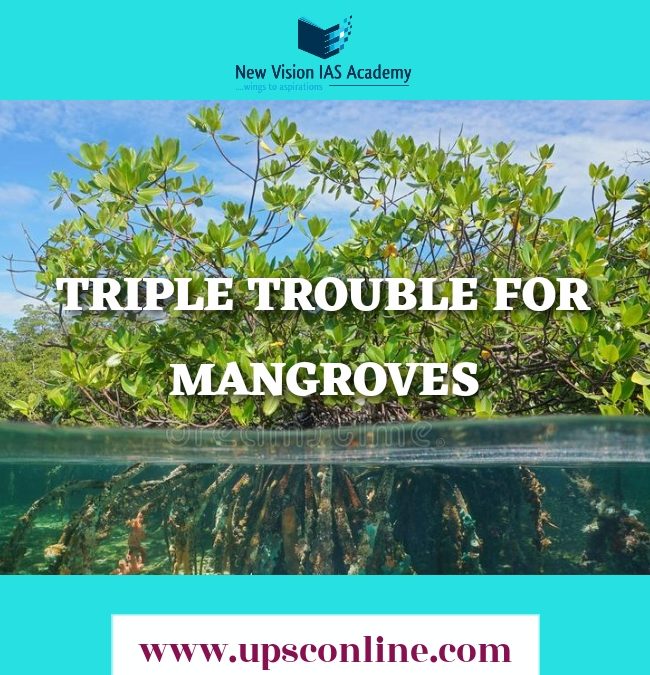 TRIPLE TROUBLE FOR MANGROVES