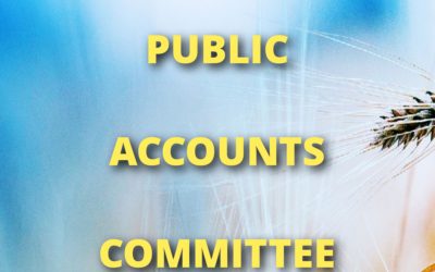 PUBLIC ACCOUNTS COMMITTEE