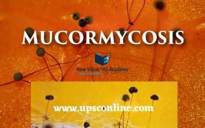 MUCORMYCOSIS